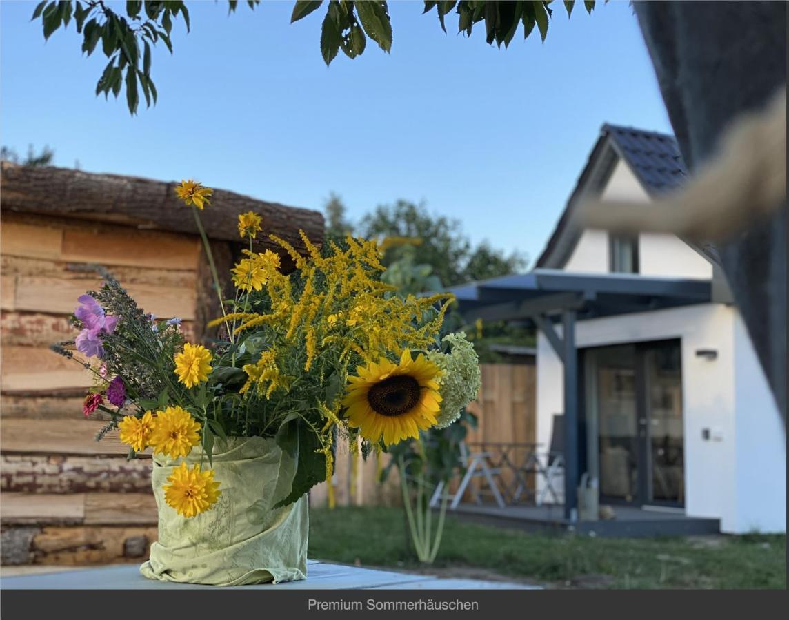 Holiday home Sommerhaeuschen