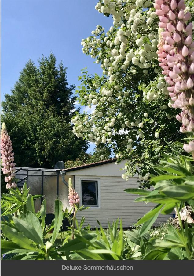 Holiday home Sommerhaeuschen Rheinsberg